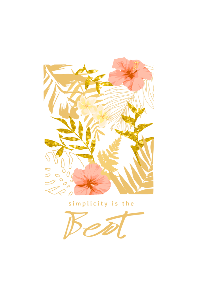 Women's Premium 100% Cotton T-Shirt - Classic Regular Fit | Black Color | Round Neck | Half Sleeve